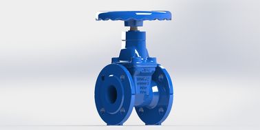 ANSI Endverbindung Wassertorventil Korrosionsbeständig aus Edelstahl für langlebige Leistung