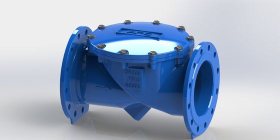DN50-700 Swing-Flex-Scheckventil mit Flanschverbindung PN10 und EPDM-Dichtung für industrielle Flüssigkeitssysteme