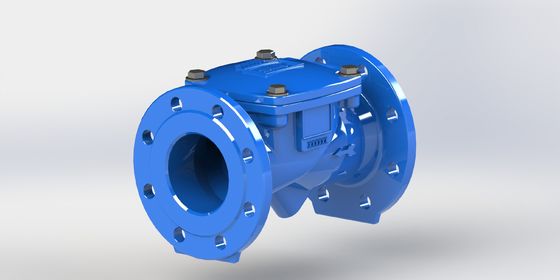 PN16 Nenndruck-Swing-Flex-Scheckventil mit zartem Eisenkörper und EPDM-Dichtstoff