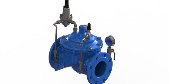 Nylonverstärkung mit EPDM-Membran Wasserdruckminderer mit Flanschanschluss EN1092-2 und GGG50 Material